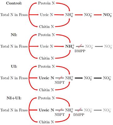 Plant Nitrogen Uptake From Insect Frass Is Affected by the Nitrification Rate as Revealed by Urease and Nitrification Inhibitors